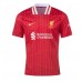 Dres Liverpool Alexis Mac Allister #10 Domaci 2024-25 Kratak Rukav